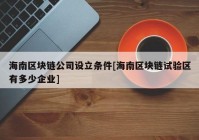 海南区块链公司设立条件[海南区块链试验区有多少企业]