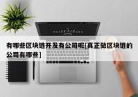 有哪些区块链开发有公司呢[真正做区块链的公司有哪些]